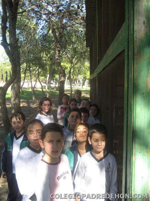 Convi primaria 2008 00036