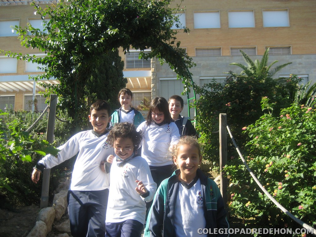 Convi primaria 2008 00049
