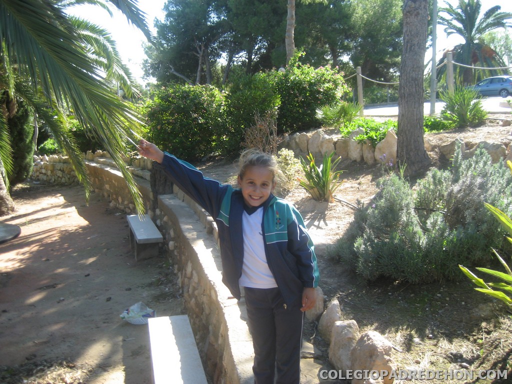 Convi primaria 2008 00050