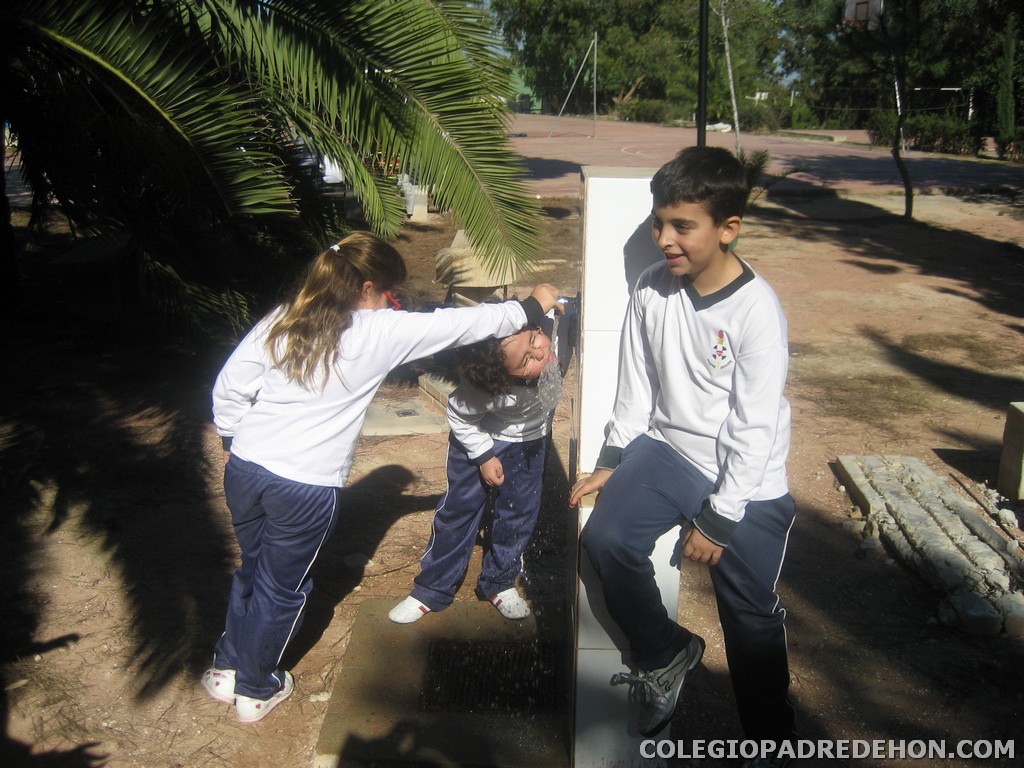 Convi primaria 2008 00051