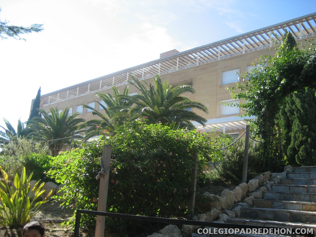 Convi primaria 2008 00057