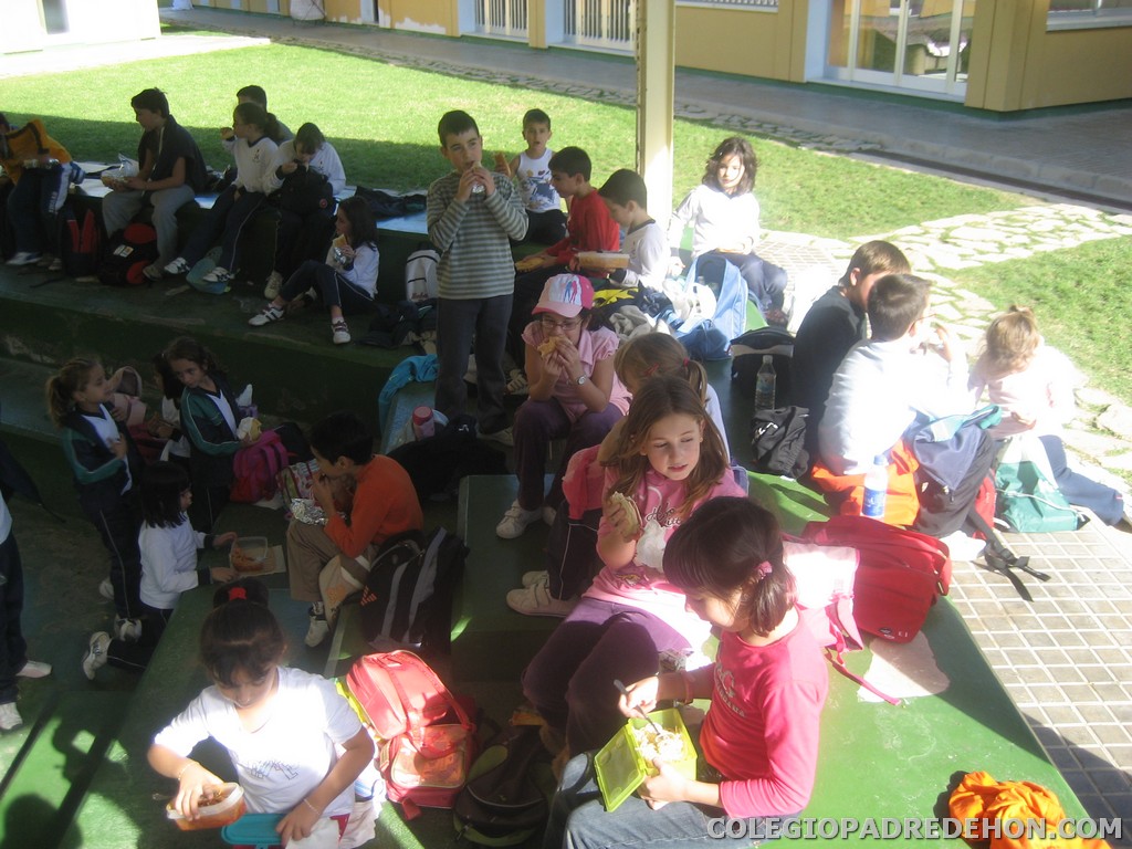 Convi primaria 2008 00061
