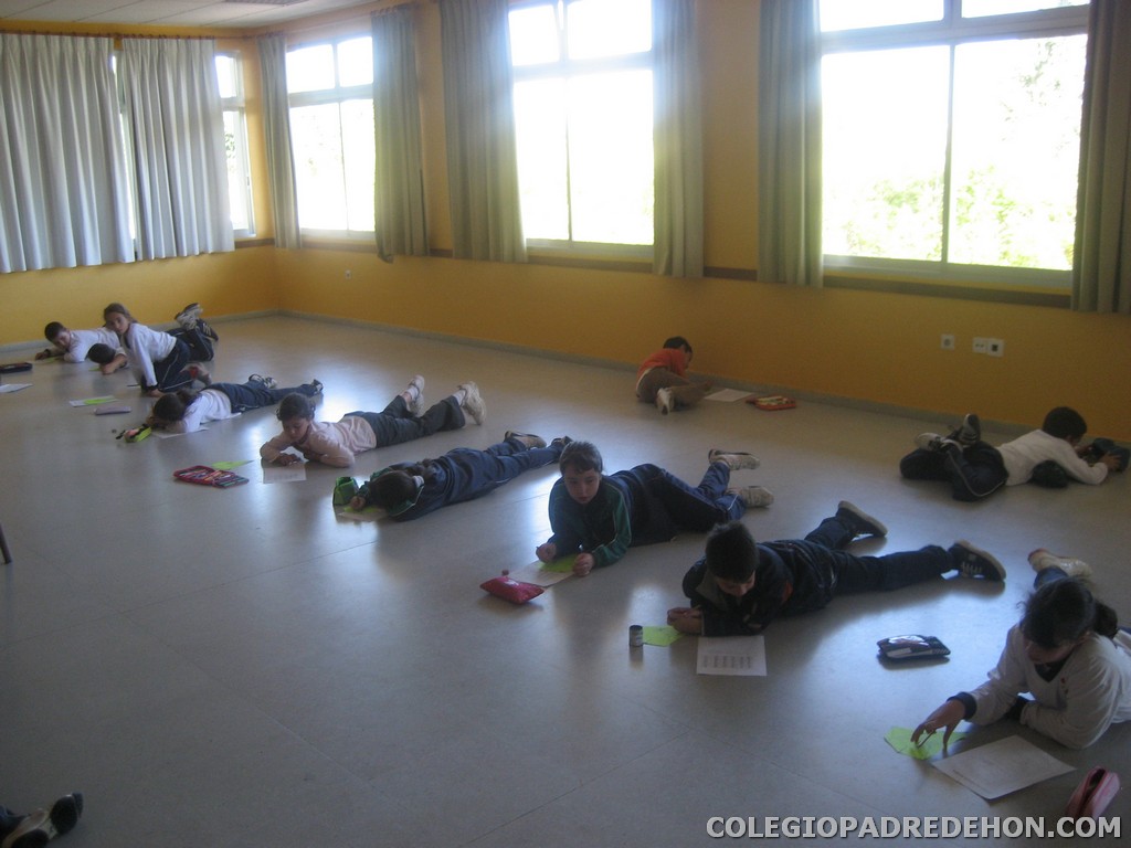 Convi primaria 2008 00067