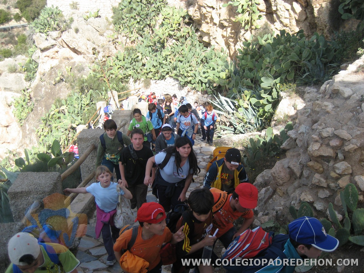 Ix marcha sol 2009 0045