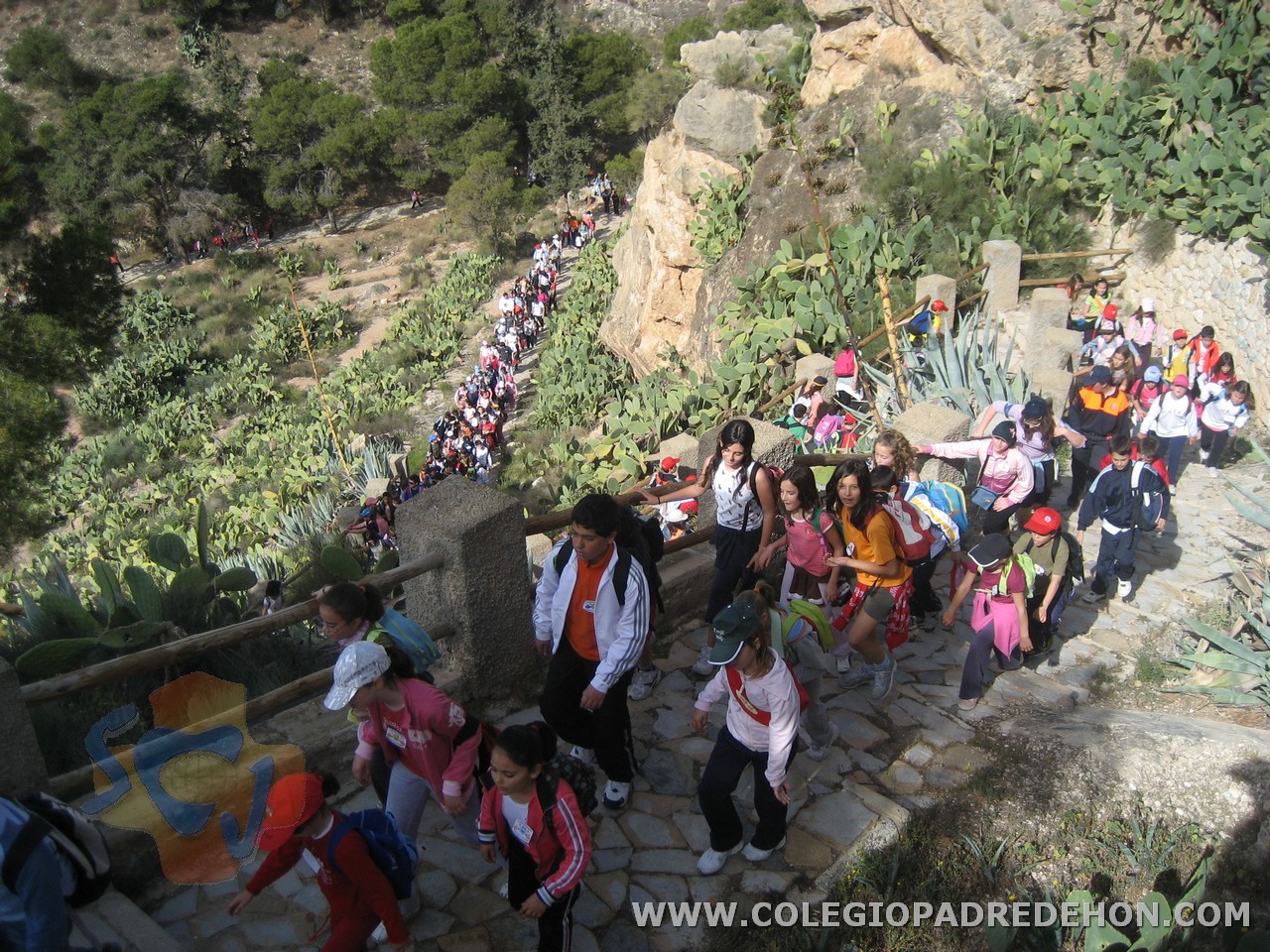 Ix marcha sol 2009 0047