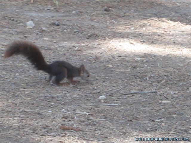 16 Convivencia Santuario De Las Virtudes