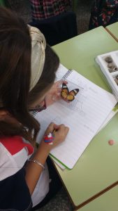 Ciencias Colegio Padre Dehon