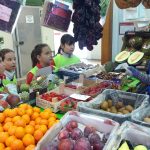 excursions Colegio Padre Dehon