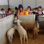 excursions Colegio Padre Dehon