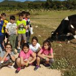 excursions Colegio Padre Dehon